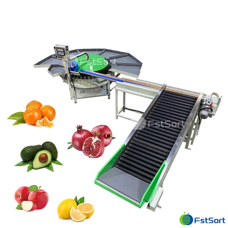 images/1764923012617pomegranate 2.jpg